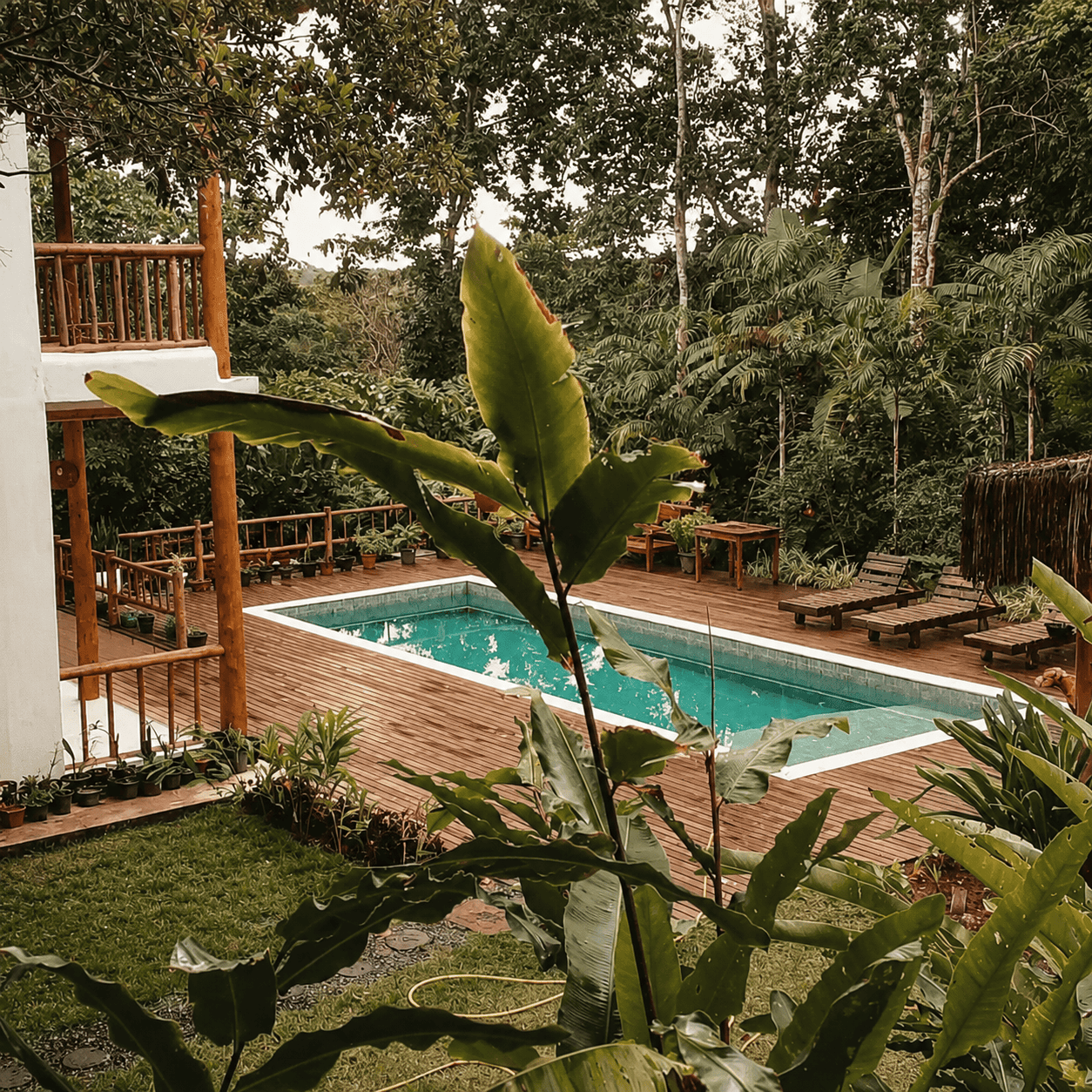 A piscina vista do jardim, com a casa à esquerda