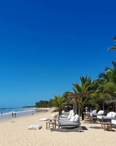 Espreguiçadeiras sob os coqueiros na areia de uma praia de Trancoso